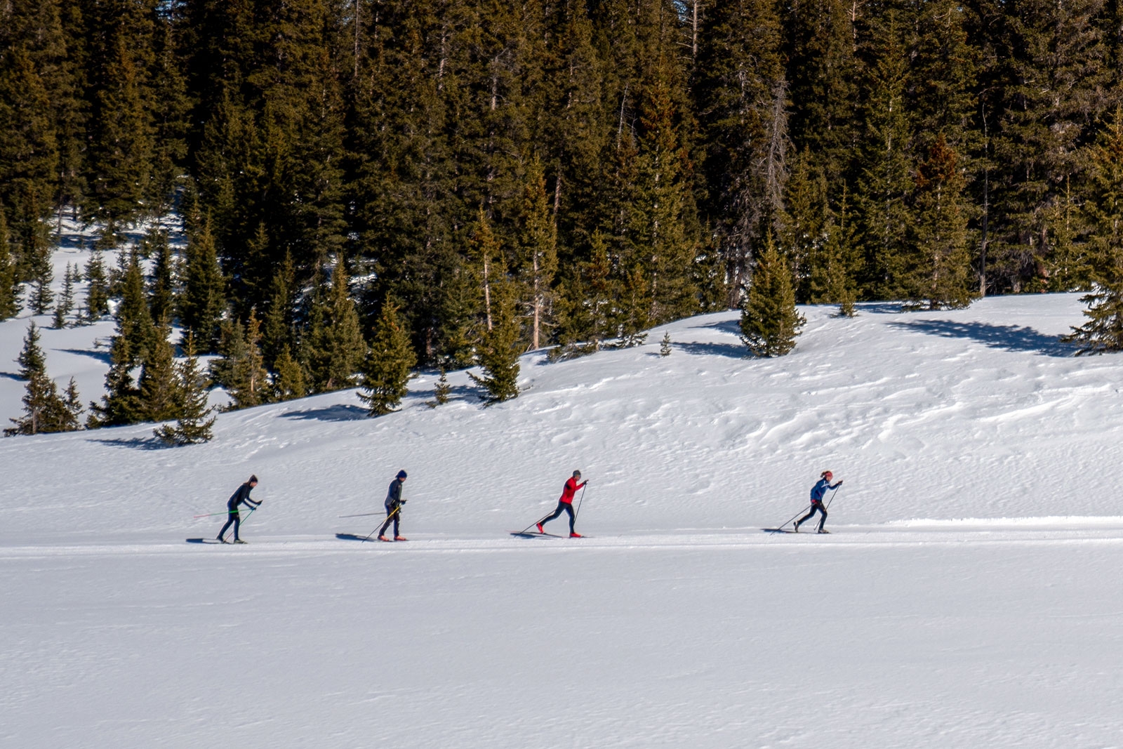 A designated section and functionality for posting cross country ski clinics with full registration.