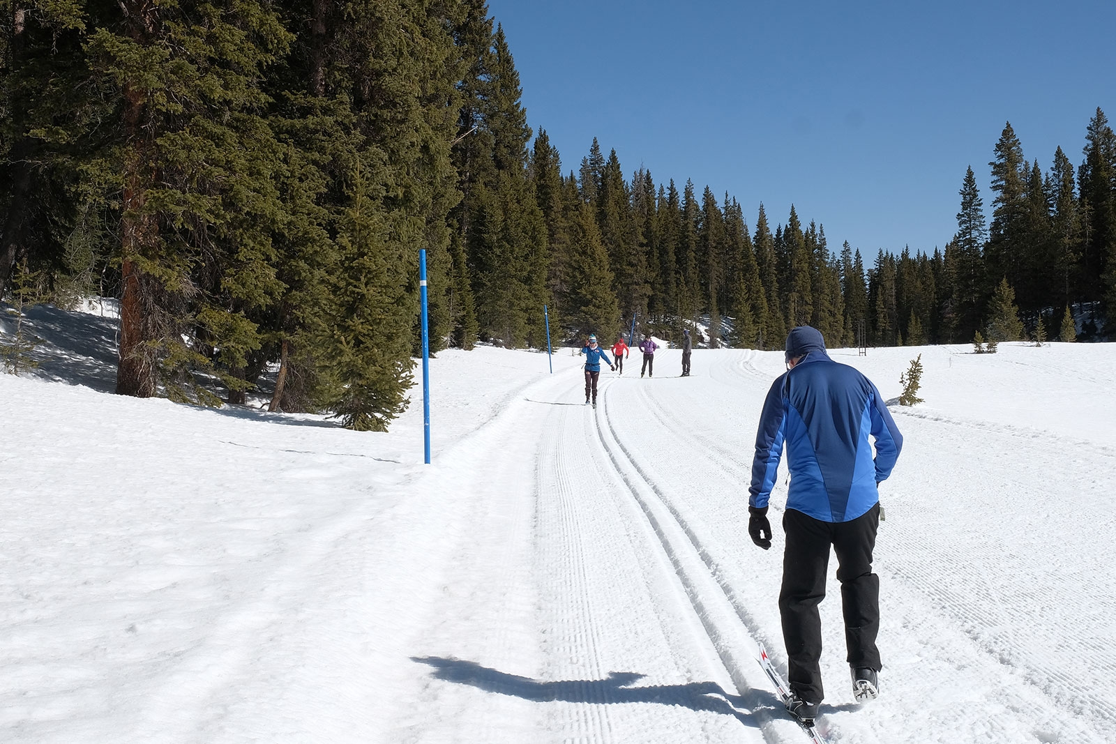 Make it easy for the customers of your Nordic center or a ski area to book ski lessons.